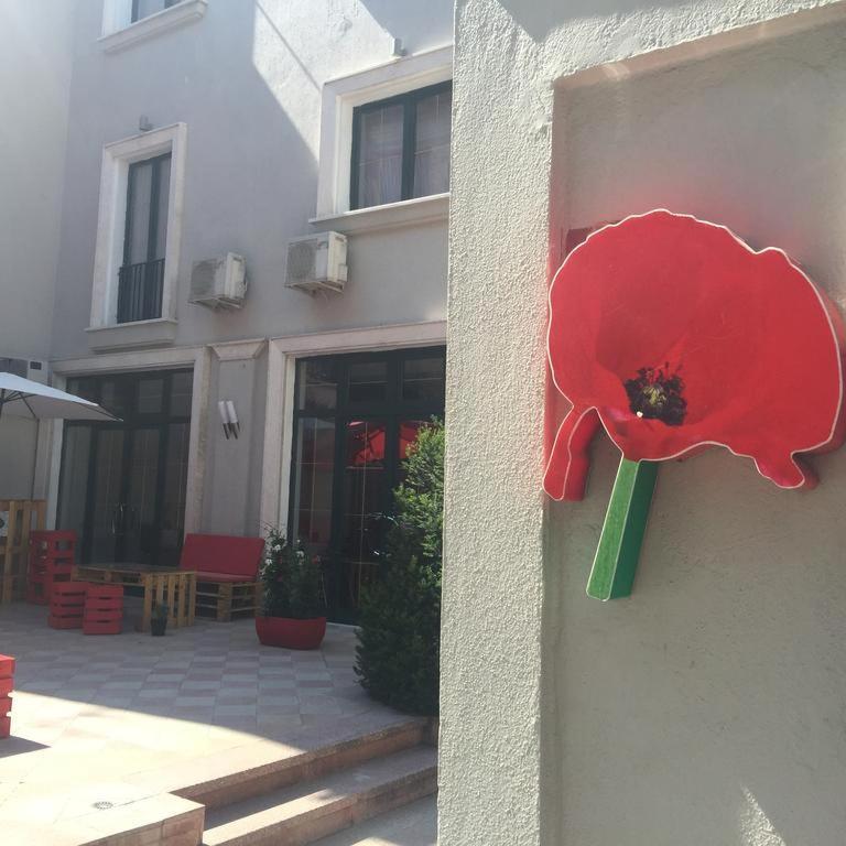 Rimini Tirana